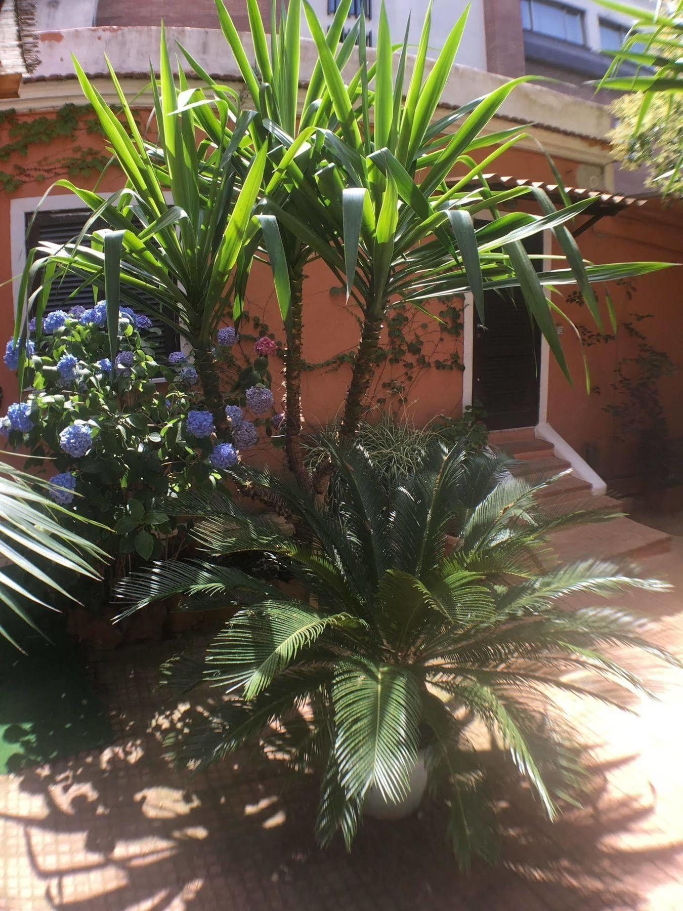 Vatican Garden House Guest house
