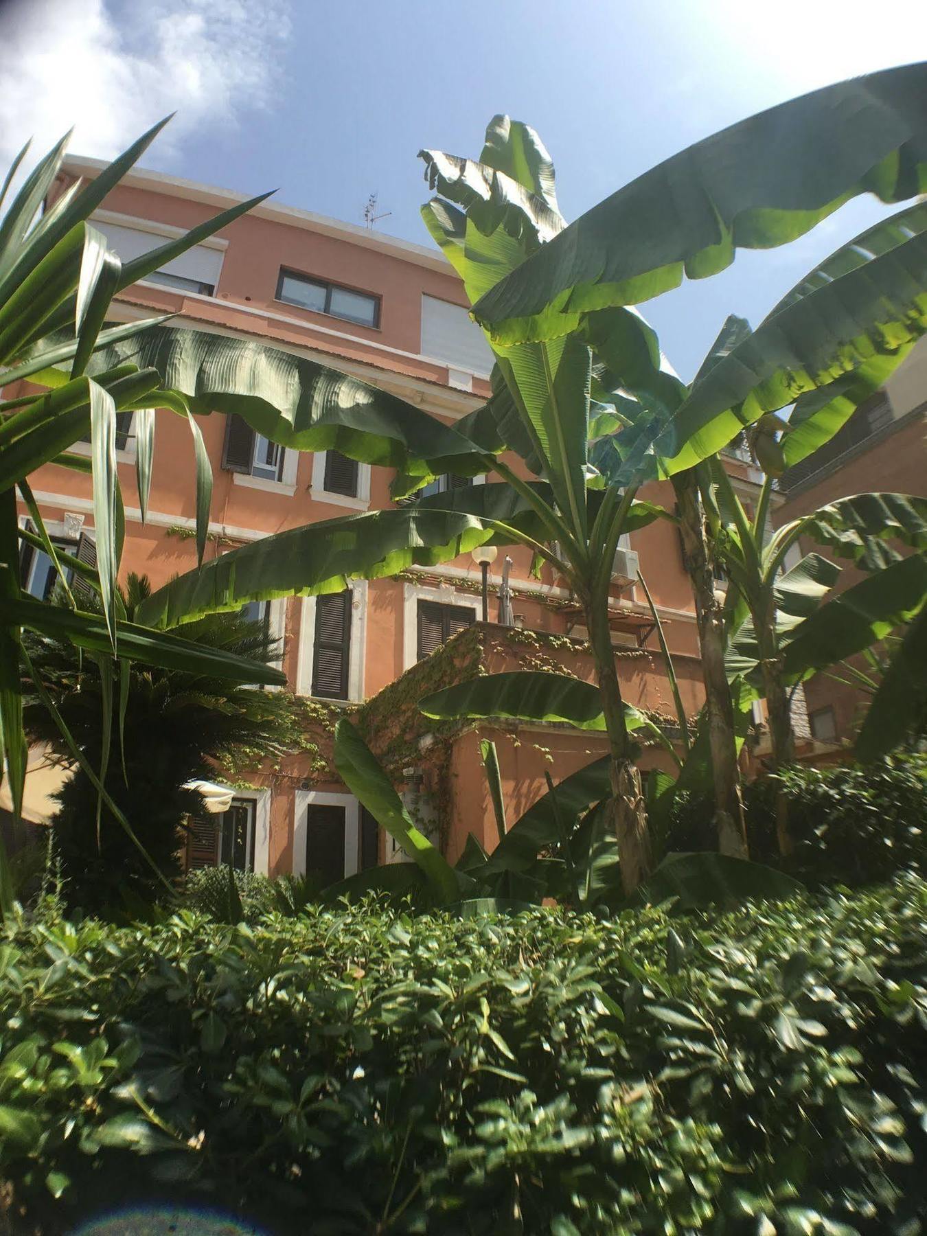 Affittacamere Vatican Garden House Roma
